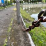 Link gacor cerita-dewazeus33
