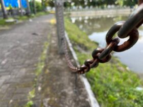 Link gacor cerita-dewazeus33