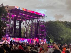 Add product new york concert grand