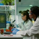 Scientists Analyzing Plants in Lab