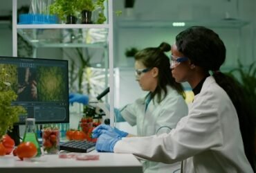 Scientists Analyzing Plants in Lab