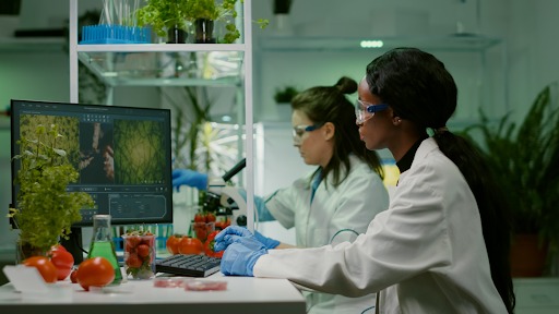 Scientists Analyzing Plants in Lab