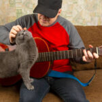 Cat scratch fever bluegrass version videos