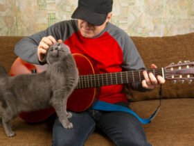 Cat scratch fever bluegrass version videos