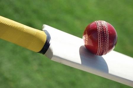 Trusted Online Cricket Options