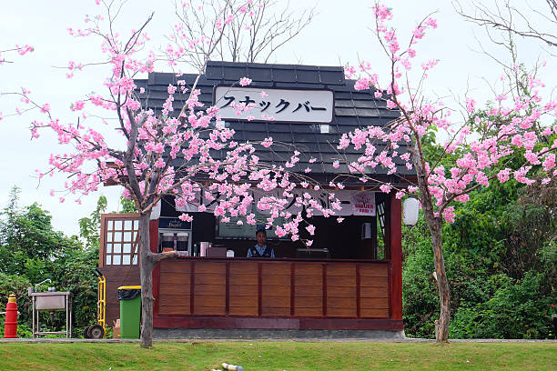 Sakura temple clgplayz minecraft