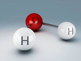 Hydrogen bonding is necessary for