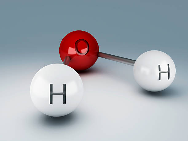 Hydrogen bonding is necessary for