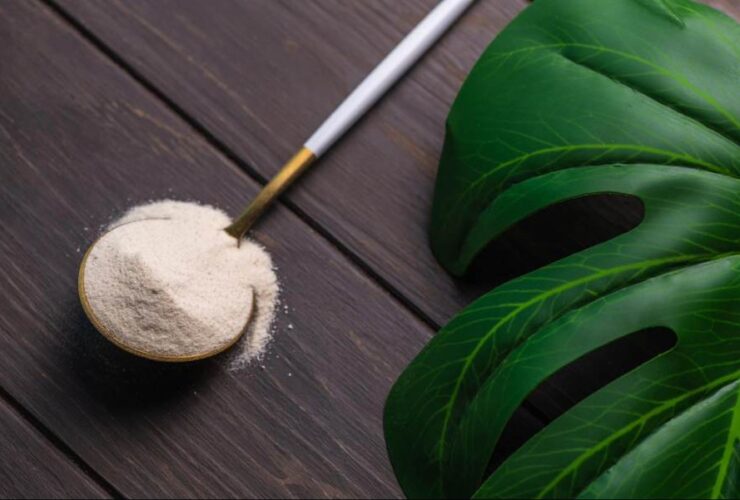 Benefits of germkezmis1212